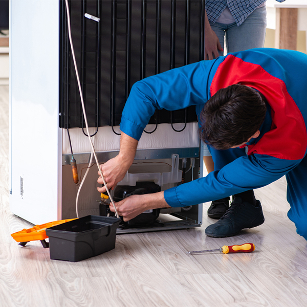 is it cost-effective to repair a refrigerator or replace it entirely in Death Valley